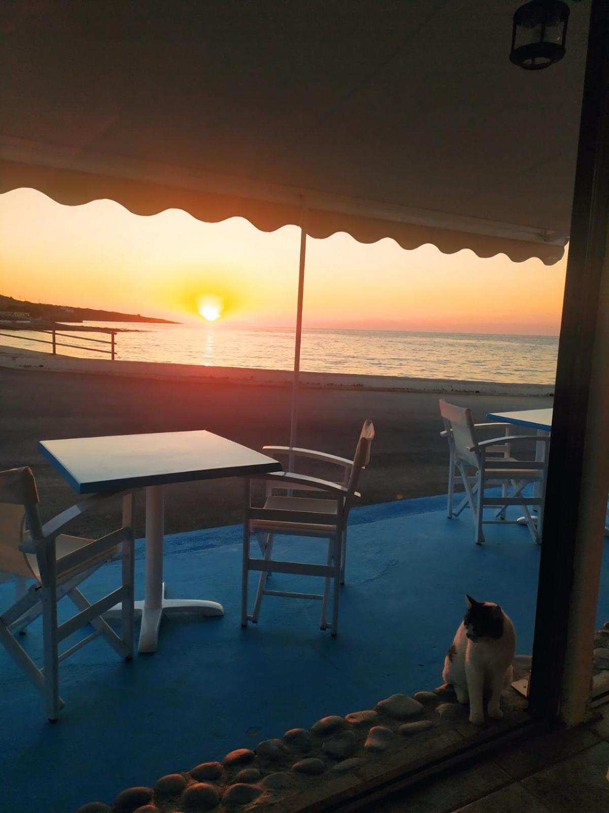 Meltemi Beach Apartments 莫拉托斯 外观 照片